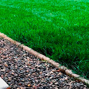 Venda de Grama para Campo de Golfe